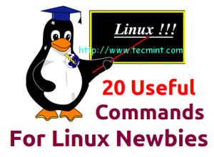 Newbies Linux Commands