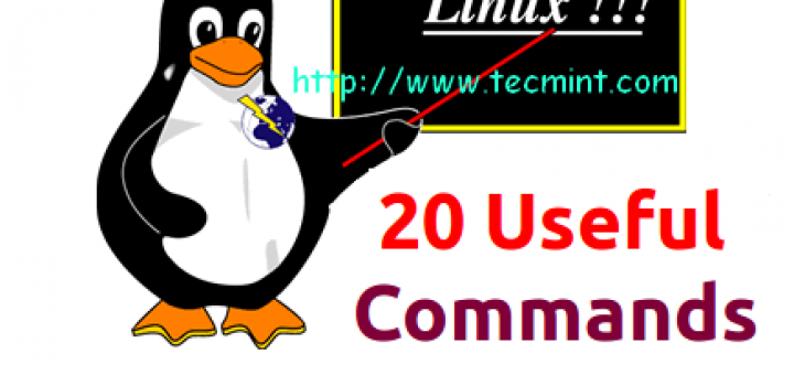 Newbies Linux Commands